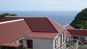 The Rise of Metal Roofs for Residential Properties: Pros and Cons
